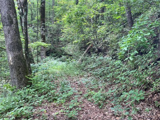 00 Eastatoe Gap Road 52