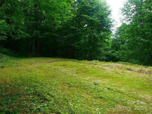 00 Spruce Flats Road 6