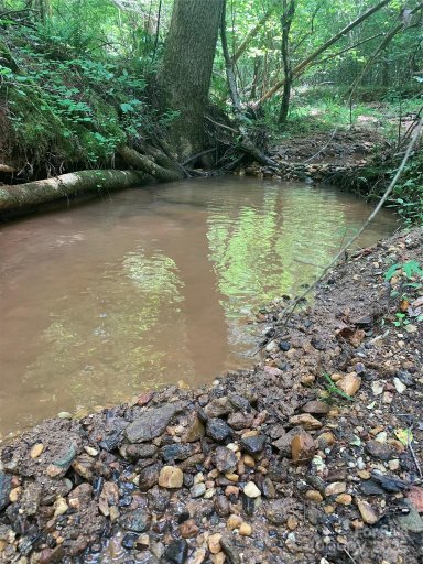 Lot 119 Creekside Circle