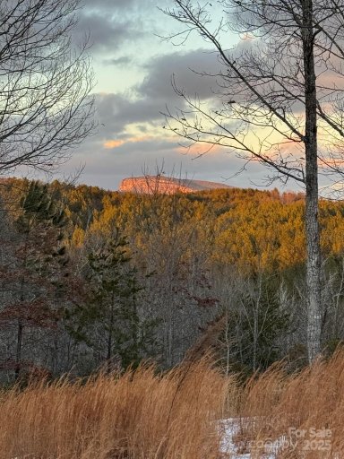 284 Bear Cliff Circle 53