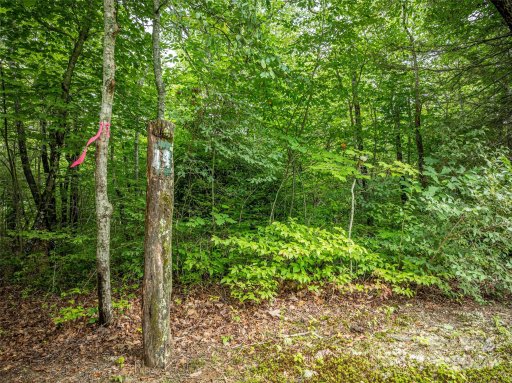 000 Meadow Ridge Drive Lot 14