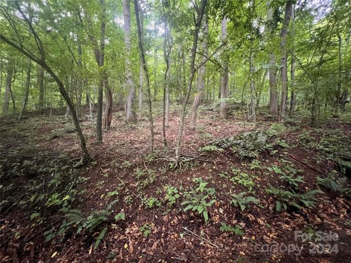 0 Country Club Drive