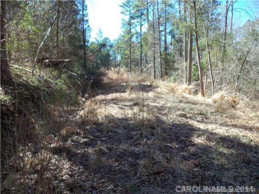 Lot 3 Stacybrook Drive