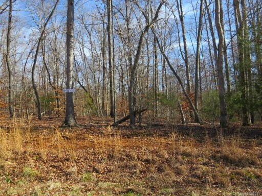 Lot 22 Forest Creek Drive