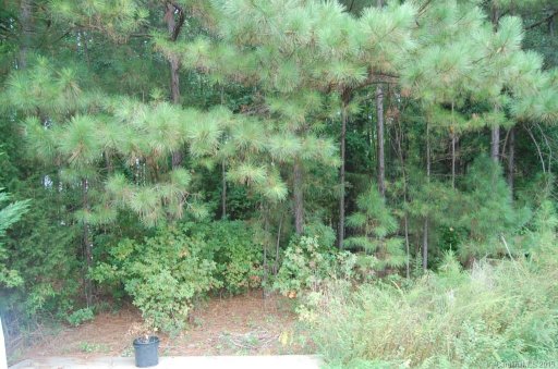 Lot 11 Palos Verde Drive