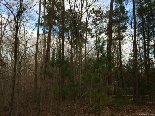 2011 Diamond Pointe Lane