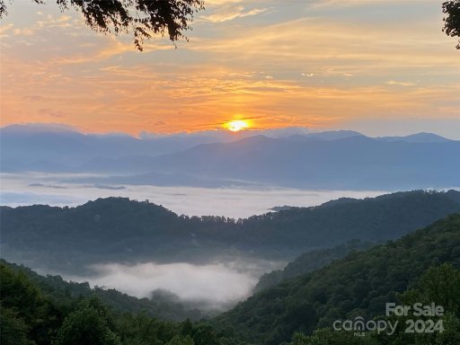 1651 Williamson Road