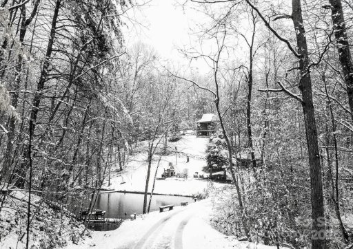 4634 Quail Run