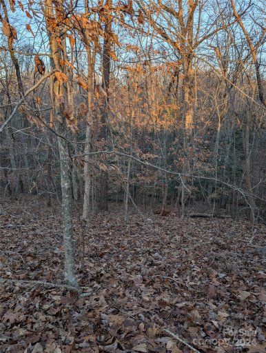 122 Balsam Circle