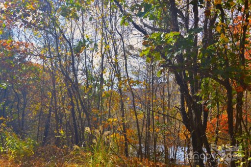 39 S Valley View Drive