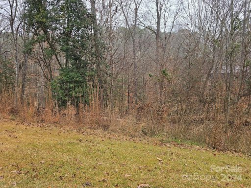 462 Fiddlers Ghost Circle