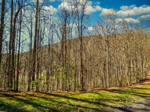 45 Ashewood Mountain Way