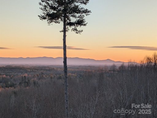 204De Johns Ridge Parkway 204DE