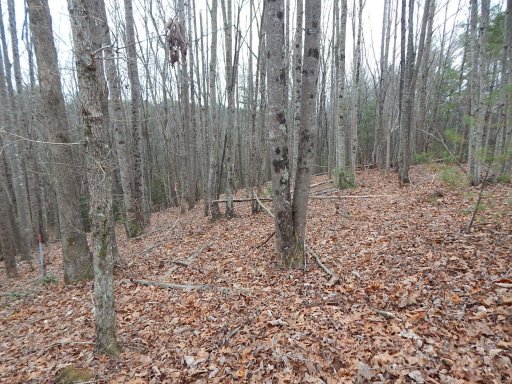 1061 Round Rock Road 56