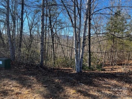 Lot 37 N Mountain Lane