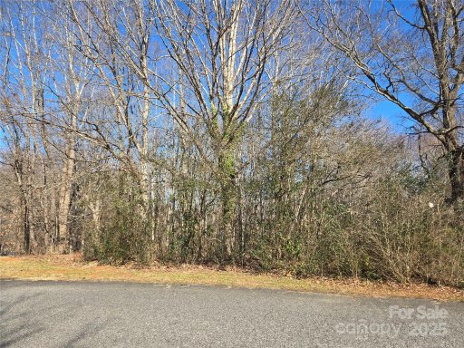 136 Walking Horse Run 19