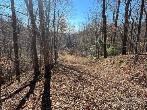 Tbd Eastatoe Gap Road 10