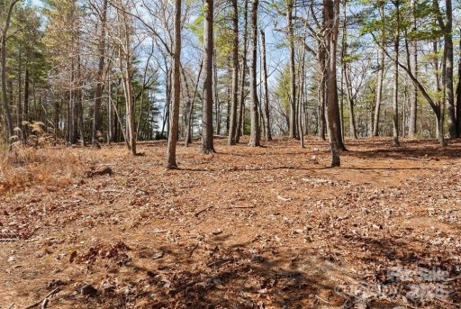 000 Cedar Hill Drive Lot 7