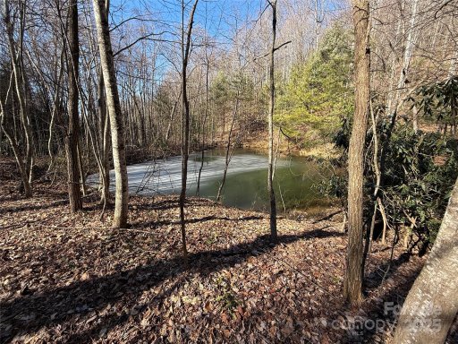 Tbd Casey Mountain Road 222B