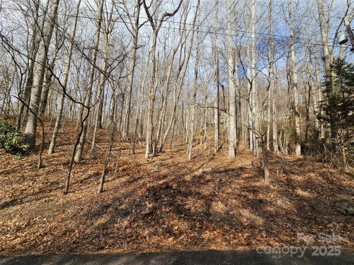 00 Timbercreek Heights 12