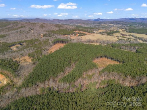 0 Moore Mountain Lane 3