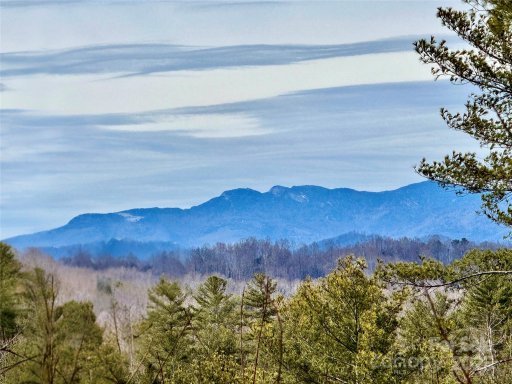 3 32 Acres Lot G23 Thoroughbred Way