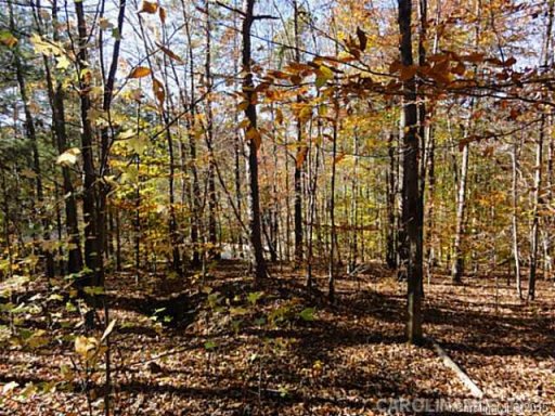 111 Island Terrace Road 22