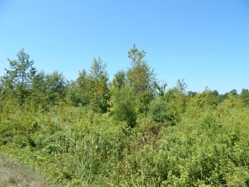 345 Barnwood Drive Lot 13