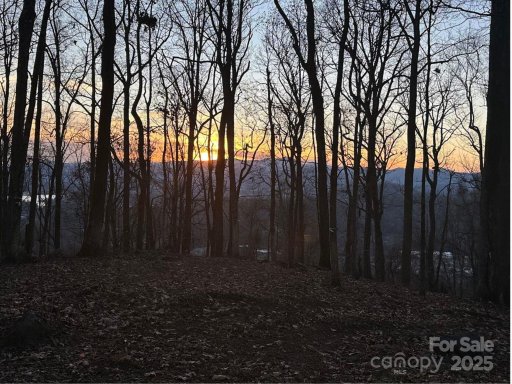 99999 Old Forest Drive 2CR