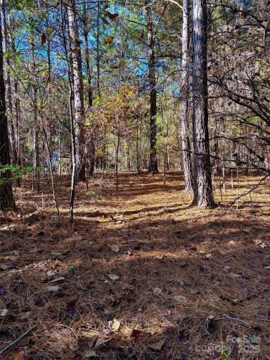 0 Cross Creek Drive 261