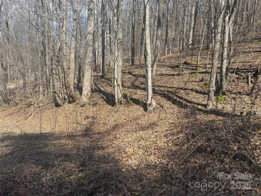 14 Lower Trillium Lane