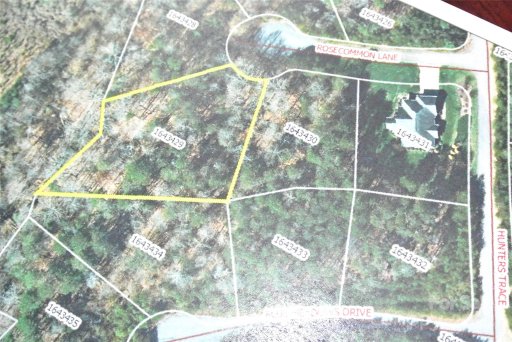 Lot 131 Rose Commons Lane