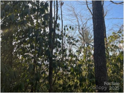 00 Rules Run Road 31A