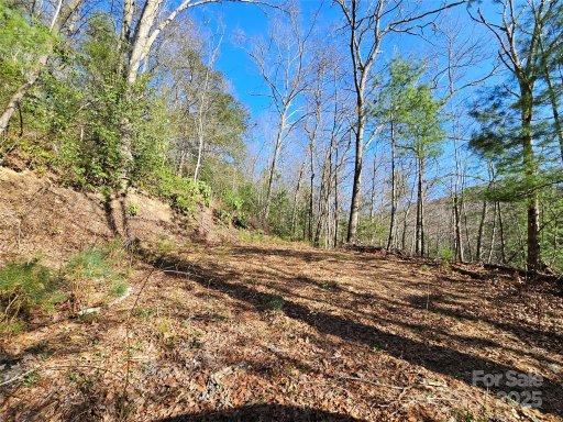 0 Laurel Branch Road