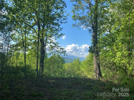 1099 Mitchell View Drive 915/915A