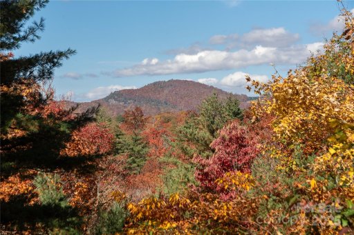 68 Qualla Trace