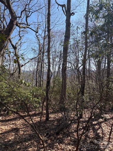 Tbd Leatherwood Road 24B