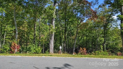 0 Mountain Grove Lane Lot 62