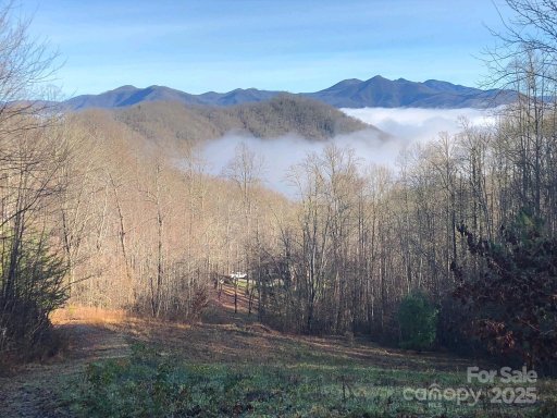 000 English Setter Trail 9