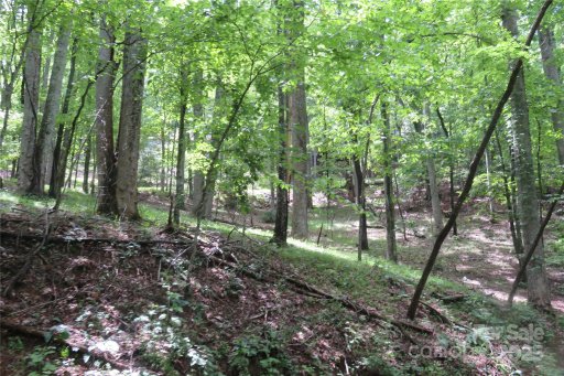 Tbd Poplar Drive Lot 152