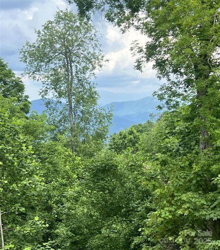 Lot 53 Mountain Air Drive 53/1