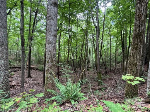 0 Quail Ridge Road 216