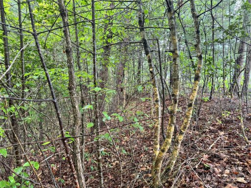 3666 Grandview Drive 23