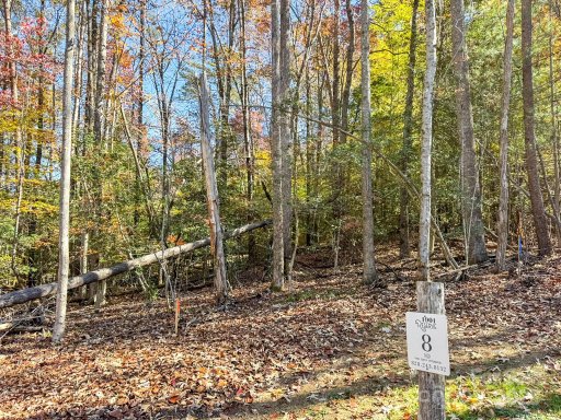 000 Nature Walk Lane 8