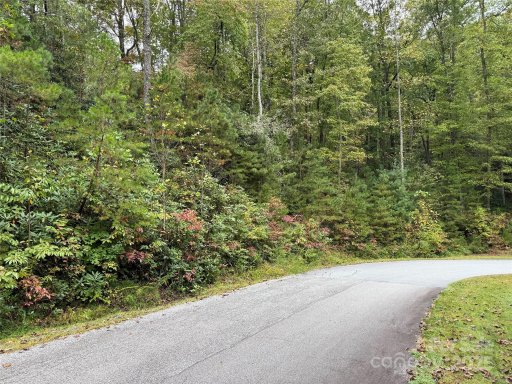 Tdb Fern Cove Lane 44