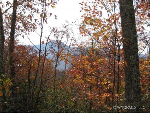 Lot 356 Endurance Trail