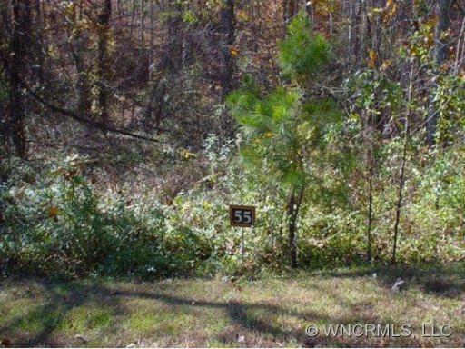 Lot 55 Hawks Pointe Lane