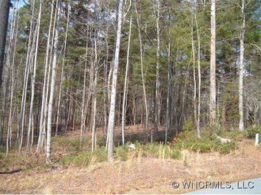 9999 Turkey Brush Trail 15