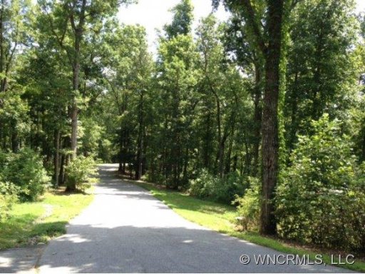 133 Black Bear Ridge Trail 21