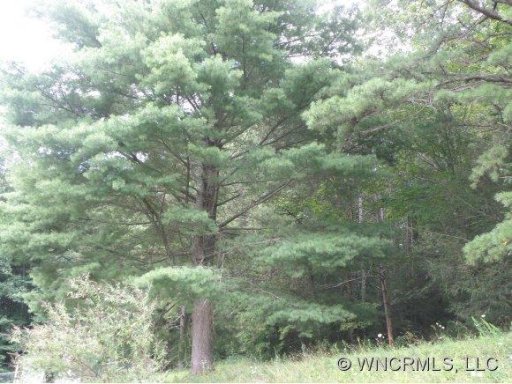 Lot Ii Ivy Cove Road II